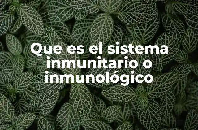 Que es el Sistema Inmunitario o Inmunológico