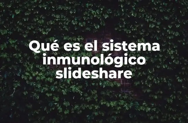 La importancia del sistema inmunológico en la salud humana