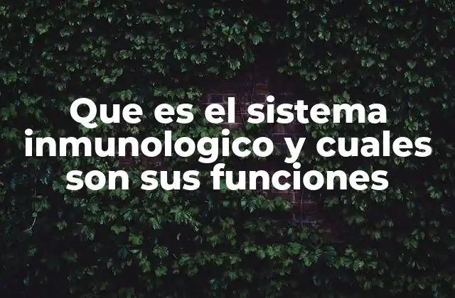 Que es el Sistema Inmunologico y Cuales Son Sus Funciones