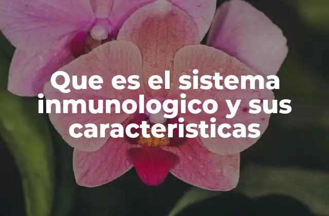 Que es el Sistema Inmunologico y Sus Caracteristicas