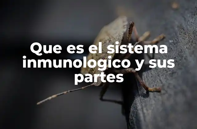 Que es el Sistema Inmunologico y Sus Partes