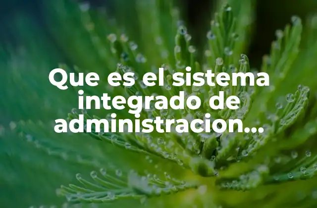 Que es el Sistema Integrado de Administracion Financiera Del Estado