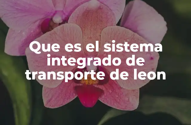Que es el Sistema Integrado de Transporte de Leon