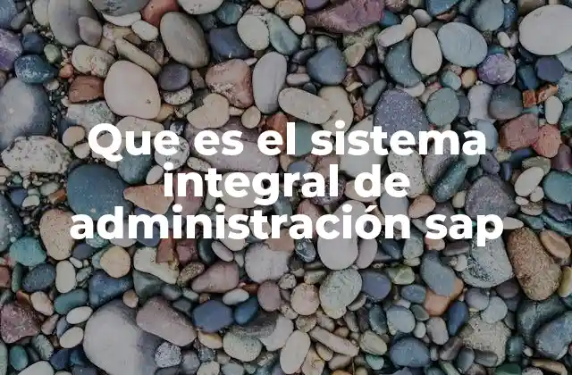 Que es el Sistema Integral de Administración Sap 2 La importancia de la integración empresarial en el entorno digital