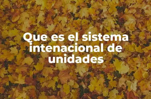 Que es el Sistema Intenacional de Unidades