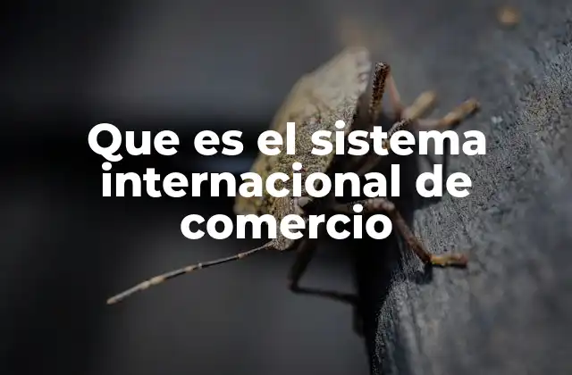Que es el Sistema Internacional de Comercio