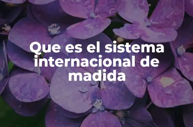 Que es el Sistema Internacional de Madida