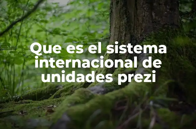 Que es el Sistema Internacional de Unidades Prezi