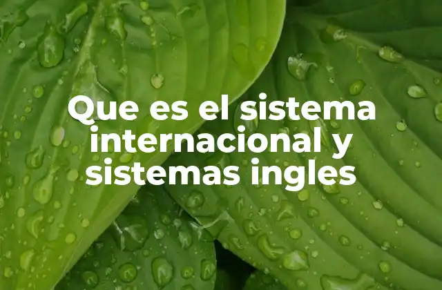 Que es el Sistema Internacional y Sistemas Ingles