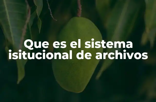 Que es el Sistema Isitucional de Archivos 2 La importancia de un sistema organizado de gestión documental