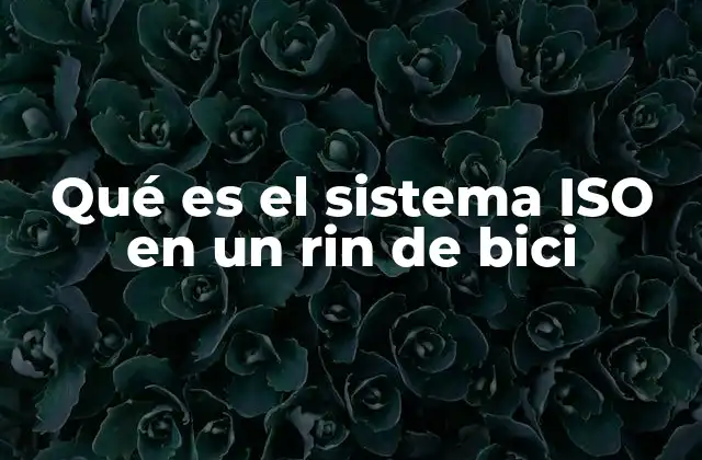 Entendiendo las medidas estándar en neumáticos de bicicleta