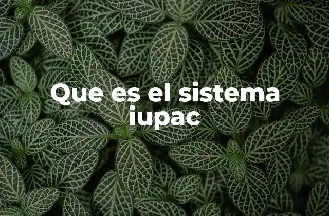La importancia de un sistema de nomenclatura estándar en química