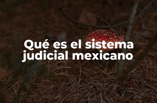 Qué es el Sistema Judicial Mexicano
