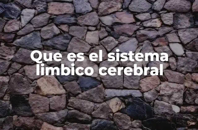Que es el Sistema Limbico Cerebral
