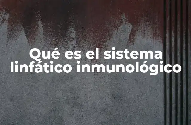 La importancia de la interacción entre el sistema linfático y el inmunológico