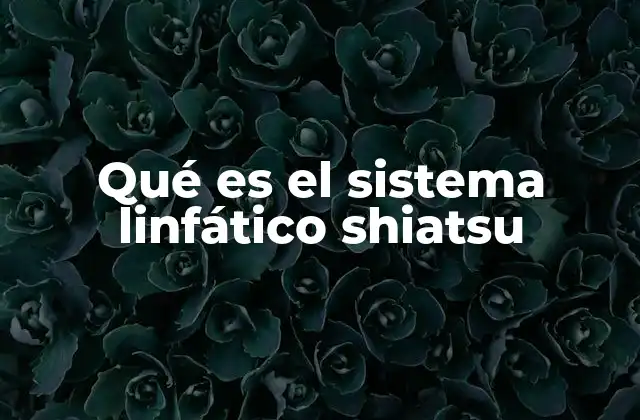 Qué es el Sistema Linfático Shiatsu