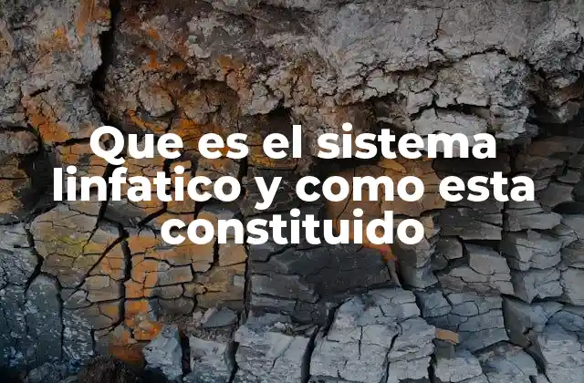 Que es el Sistema Linfatico y como Esta Constituido
