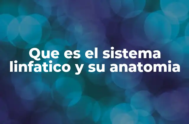 Que es el Sistema Linfatico y Su Anatomia