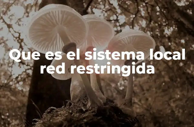 Que es el Sistema Local Red Restringida
