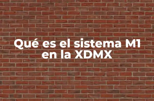 Qué es el Sistema M1 en la Xdmx
