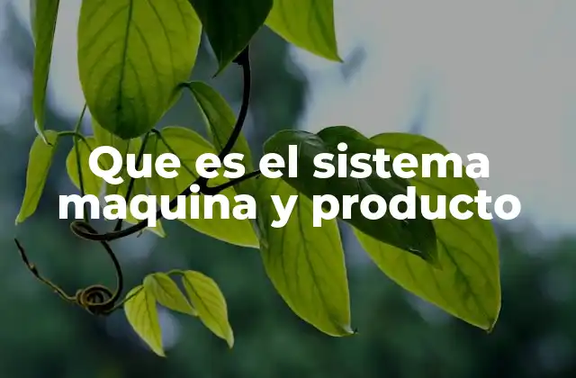 Que es el Sistema Maquina y Producto