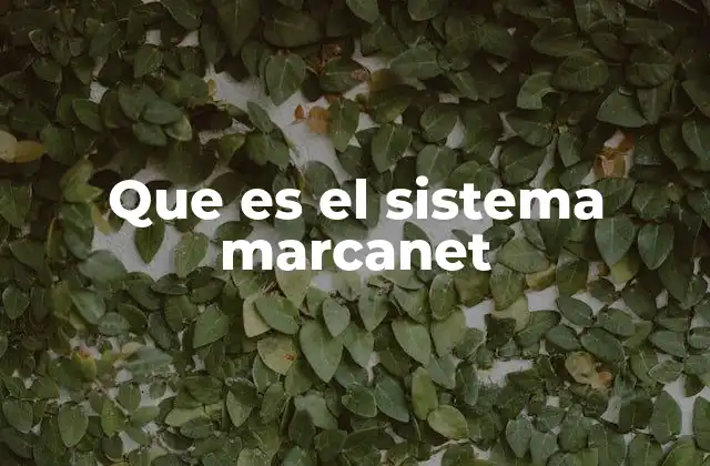 Cómo funciona el sistema Marcanet sin mencionar directamente la palabra clave