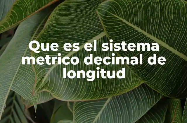 La importancia del sistema métrico decimal en la vida cotidiana