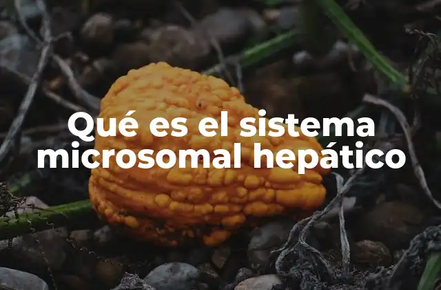 Qué es el Sistema Microsomal Hepático