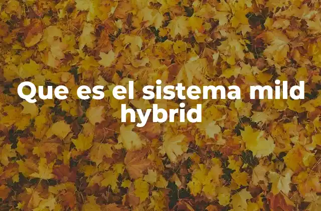 Que es el Sistema Mild Hybrid