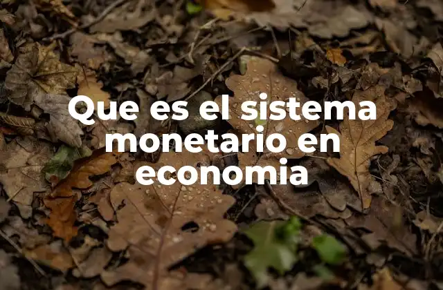 Que es el Sistema Monetario en Economia