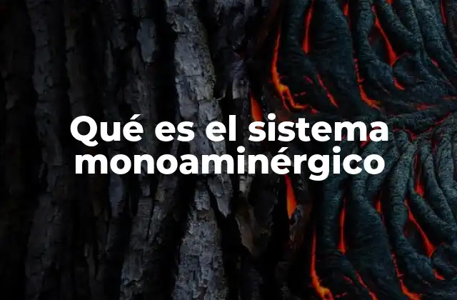 Qué es el Sistema Monoaminérgico