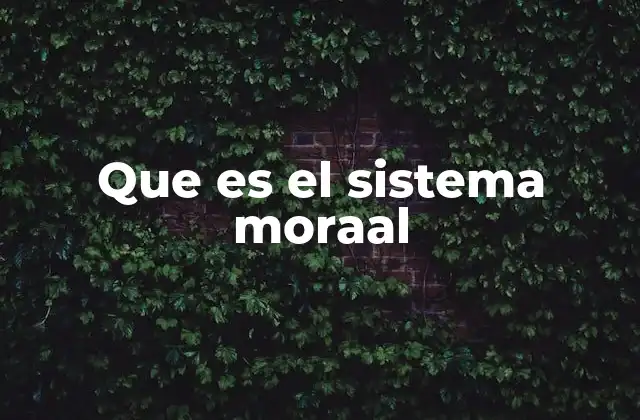 Que es el Sistema Moraal