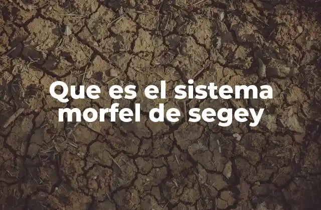 Que es el Sistema Morfel de Segey