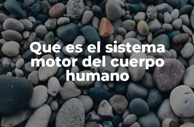 Que es el Sistema Motor Del Cuerpo Humano