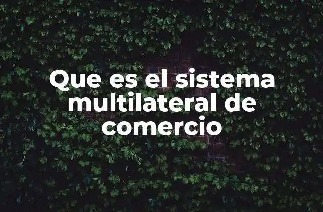 El papel del sistema multilateral en la economía global