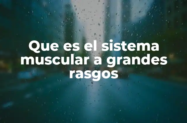 Que es el Sistema Muscular a Grandes Rasgos