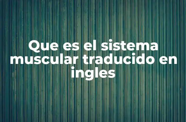 Que es el Sistema Muscular Traducido en Ingles