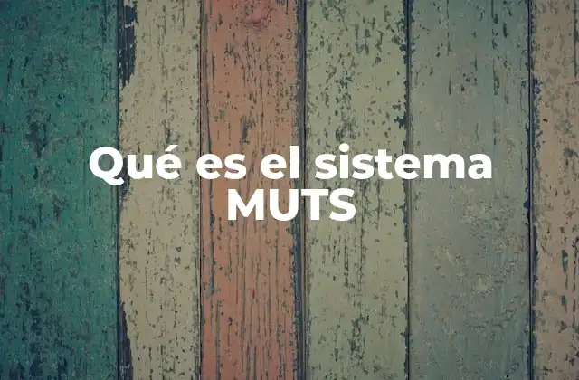 Qué es el Sistema Muts