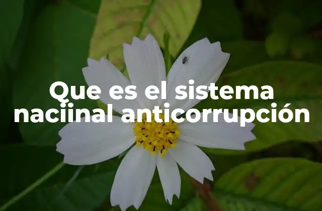 Que es el Sistema Naciinal Anticorrupción