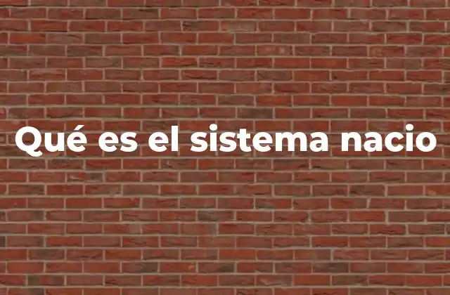 Qué es el Sistema Nacio