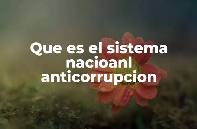Un marco institucional para combatir la corrupción