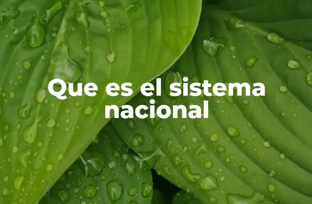 Que es el Sistema Nacional