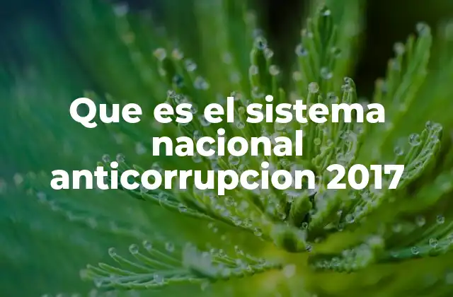 Que es el Sistema Nacional Anticorrupcion 2017