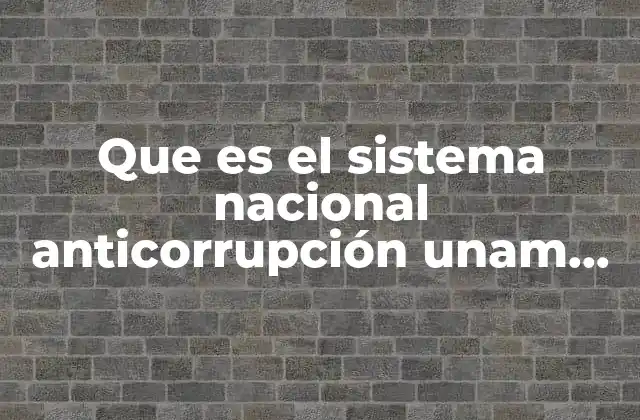 Que es el Sistema Nacional Anticorrupción Unam 2017
