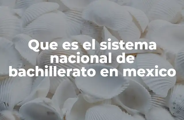 Que es el Sistema Nacional de Bachillerato en Mexico