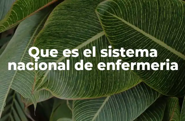 Que es el Sistema Nacional de Enfermeria