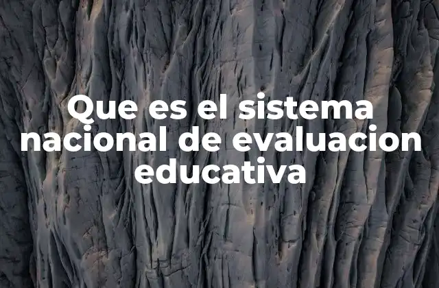 Que es el Sistema Nacional de Evaluacion Educativa