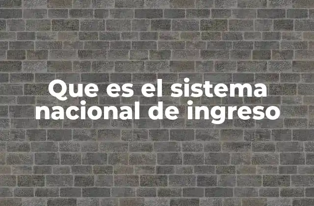 Que es el Sistema Nacional de Ingreso