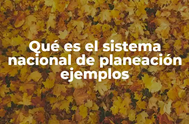 Qué es el Sistema Nacional de Planeación Ejemplos