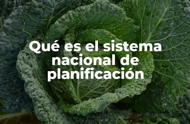 Qué es el Sistema Nacional de Planificación